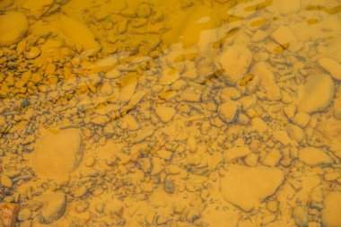 Dağ nehrinin sarı kumlu tabanında bir sürü pürüzsüz taş var. Sarı kil zeminin doğal arkaplanı. Yığınla pürüzsüz taş var. Dağ deresinin berrak sularındaki kayaların doğal dokusu.