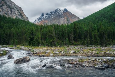 Dağ nehrinin atmosferik manzarası, karlı dağ ve kozalaklı orman bulutlu bir günde. Karlı dağın tepesindeki kasvetli gri gökyüzü. Dağlarda yağışlı gri alçak bulutlar. Dramatik alp manzarası.