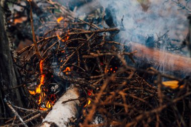 Yakın planda yanan dallar ve çalılar. Atmosferik sıcak arka plan, turuncu kamp ateşi ve mavi duman. Şenlik ateşinin güzel tam kare görüntüsü. Yakacak odun alevler içinde yanıyor..