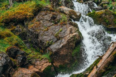 Zengin bitki örtüsü arasında ormanda güzel şelalesi olan manzaralı bir yer. Donmuş sıçrama hareketi. Temiz kaynak suyu. Dağ deresi ile atmosferik ahşap manzara. Kayalıklardaki yosun ve bitkiler
