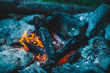 Yanan odun odunları yakın plan ateşte yanmış. Atmosferik sıcak arka plan ve turuncu kamp ateşi. Şenlik ateşinin hayal edilemez tam kare görüntüsü. Güzel ateşte odun yakmak. Harika alev.