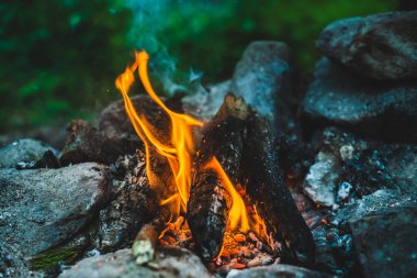 Yanan odun odunları yakın plan ateşte yanmış. Atmosferik sıcak arka plan, turuncu kamp ateşi ve mavi duman. Şenlik ateşinin mükemmel tam kare görüntüsü. Güzel ateşte yanan odunlar.