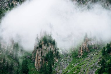 Yoğun siste kozalaklı ağaçlarla kaplı kayalık kayalıklardan oluşan keskin taşlar. Ormanlı yüksek kayaların yanında alçak bulut. Bulutlarda kayalar ve ağaçlar olan renkli sisli yeşil bir manzara. Kaya akıntılarıyla dik eğim