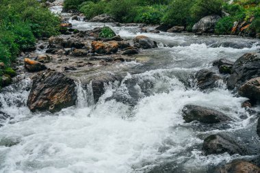 Dağ nehrinde büyük taşlar olan atmosferik bir manzara. Dağ deresindeki kayalar arasında akıntılı güçlü bir su akıntısı. Dağlık derede kayaların arasında hızlı akış. Küçük nehri olan güzel bir manzara