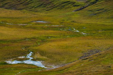 Güneş ışığı altında yamaçtaki vadide güzel küçük göl ve su akıntıları. Güneşli bir günde mavi su ve yeşil yosunlarla dolu canlı bir manzara. Alp gölleri ve yosunlu yosunlu dağlık arazi manzarası.