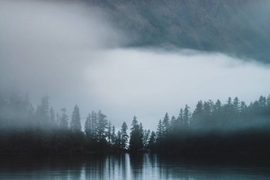 Sivri ağaç siluetleri dağın yamacında yoğun siste. Highland Gölü 'nün sularını sakinleştirmek için çam refleksi. Sabahın erken saatlerinde Alp sakin manzarası. Hayaletli atmosfer manzarası.