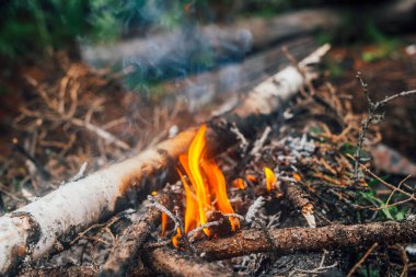 Yakın planda yanan dallar ve çalılar. Atmosferik sıcak arka plan, turuncu kamp ateşi ve mavi duman. Şenlik ateşinin güzel tam kare görüntüsü. Yakacak odun alevler içinde yanıyor..