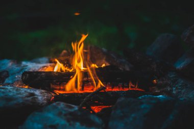 Yanan odun odunları yakın plan ateşte yanmış. Atmosferik sıcak arka plan ve turuncu kamp ateşi. Şenlik ateşinin hayal edilemez tam kare görüntüsü. Güzel ateşte odun yakmak. Harika alev.