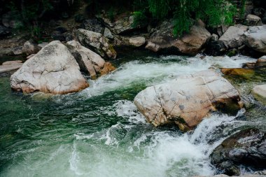 Dağ deresi çağlayanlarıyla birlikte doğanın arka planı. Yeşil suları olan güzel dağ dereleri olan manzaralı bir yer. Küçük bir nehirde yeşil suyu olan cennet manzarası. Hızlı su akışı yakın çekim.