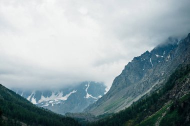 Bulutlu gökyüzünün altında, tepenin yamacındaki kozalaklı ormanın arkasında büyük, güzel bir buzul. Bulutlu havada, dev karlı kayalarda alçak bulutlar. Orman tepeleri ve kayalık dağlarla çevrili Atmosferik Alp manzarası.