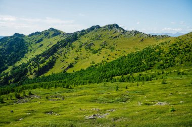 Yeşil dağ manzarası açık mavi gökyüzü altında kozalaklı ormanı ve büyük uçurumları olan canlı yeşil dağ manzarası. Kozalaklı ağaçlar ve yamaçtaki büyük kayalar. Dik yamaçlarda büyük taşlar olan manzaralı bir yer.