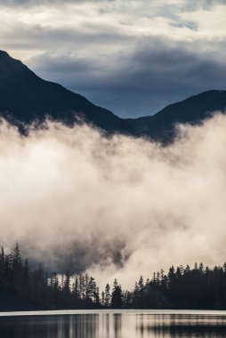 Sivri ağaç siluetleri dağın yamacında yoğun siste. Highland Gölü 'nün sularını sakinleştirmek için çam refleksi. Sabahın erken saatlerinde Alp sakin manzarası. Hayaletli atmosfer manzarası.