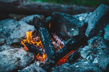 Yanan odun odunları yakın plan ateşte yanmış. Atmosferik sıcak arka plan ve turuncu kamp ateşi. Şenlik ateşinin hayal edilemez tam kare görüntüsü. Güzel ateşte odun yakmak. Harika alev.