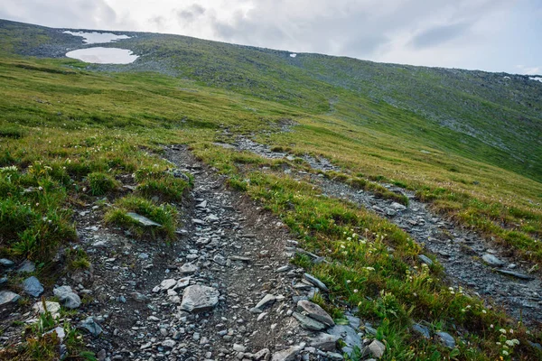 Hiking path through mountains. Trekking mountain trail. Atmospheric minimalist alpine landscape with stony footpath among snow and grasses in highlands. Pathway up hill. Way up mountainside. Scenery.