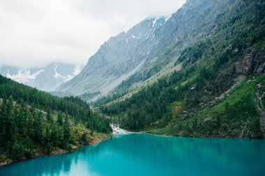 Dağlık dere, yoğun alçak bulutlar ve kozalaklı ormanlar arasında bulunan güzel büyük buzulun arka planındaki dağ gölüne akar. Kozalaklı kozalaklı turkuaz su. Atmosferik alp manzarası.