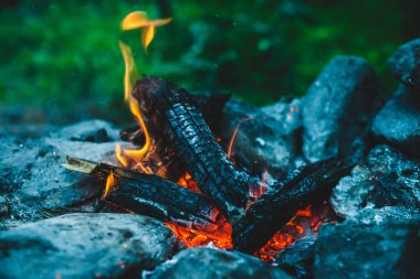 Yanan odun odunları yakın plan ateşte yanmış. Atmosferik sıcak arka plan ve turuncu kamp ateşi. Şenlik ateşinin hayal edilemez tam kare görüntüsü. Güzel ateşte odun yakmak. Harika alev.