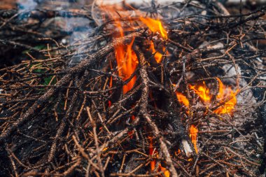 Yakın planda yanan dallar ve çalılar. Atmosferik sıcak arka plan, turuncu kamp ateşi ve mavi duman. Şenlik ateşinin güzel tam kare görüntüsü. Yakacak odun alevler içinde yanıyor..