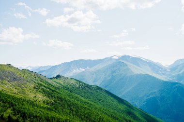 Yeşil orman yamacına ve büyük karlı dağlara güzel bir hava manzarası. Muazzam genişlikte minimalist alp manzarası. Yeşil dağlı, kozalaklı ormanlı muhteşem canlı bir manzara..