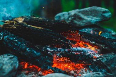 Yanan odun odunları yakın plan ateşte yanmış. Atmosferik sıcak arka plan, turuncu kamp ateşi ve mavi duman. Şenlik ateşinin hayal edilemez tam kare görüntüsü. Güzel ateşte yanan odunlar.