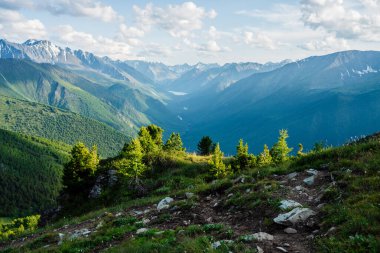 Arkaplanda küçük kozalaklı ağaçlar, dev dağlar ve Alp gölü ve nehri olan yeşil orman vadisi olan güzel bir dağ manzarası. Geniş alanlara müthiş bir manzara. Canlı dağlık manzara.