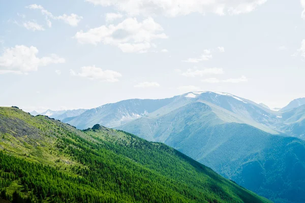 Prachtig Uitzicht Vanuit Lucht Groene Boshelling Grote Besneeuwde Bergen Geweldige — Stockfoto
