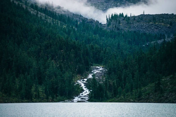 Fast Creek Ρέει Μεταξύ Των Δέντρων Και Ρέει Ορεινή Λίμνη — Φωτογραφία Αρχείου
