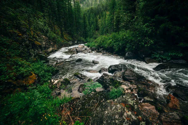 Paisaje Forestal Verde Atmosférico Con Arroyo Montañoso Valle Rocoso Hermosa — Foto de Stock