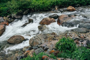 Dağ nehrinin su tabancasında büyük taşlar olan güzel bir manzara. Dağ deresindeki kayalar arasında akıntılı güçlü bir su akıntısı. Dağlık derede kayaların arasında hızlı akış. Küçük nehir yakınlaşması