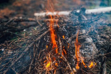 Yakın planda yanan dallar ve çalılar. Atmosferik sıcak arka plan, turuncu kamp ateşi ve mavi duman. Şenlik ateşinin güzel tam kare görüntüsü. Yakacak odun alevler içinde yanıyor..