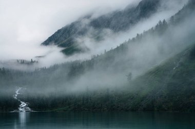 Highland deresi ormanın içinden akar ve dağ gölüne akar. Alp gölü ve alçak bulutların arasında karanlık ormanlı hayalet sisli bir yer. Yoğun sisteki kozalaklı ağaçlarla atmosferik manzara.