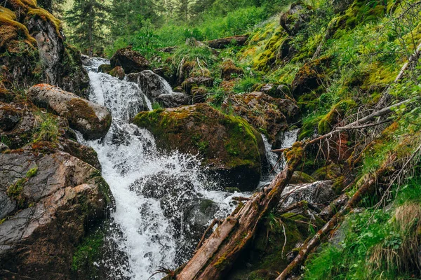 Scénická Krajina Krásným Vodopádem Lese Mezi Bohatou Vegetací Zmrazený Pohyb — Stock fotografie