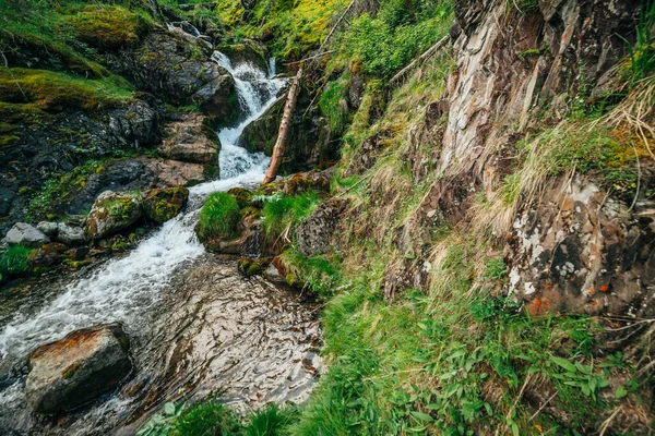 Naturskönt Landskap Med Vackert Vattenfall Skogen Bland Rik Växtlighet Atmosfäriskt — Stockfoto