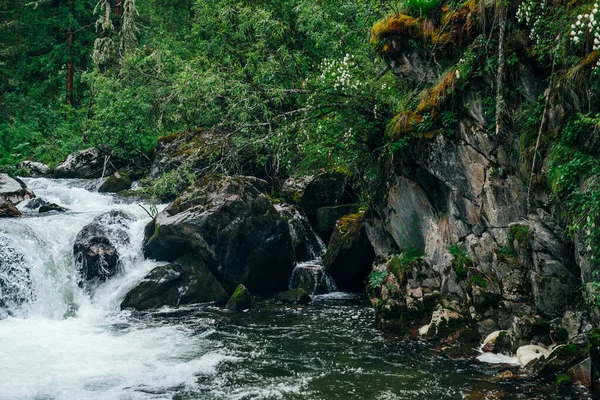 Paisagem Floresta Verde Atmosférica Com Riacho Montanha Vale Rochoso Belo — Fotografia de Stock