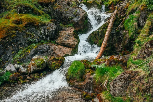 Scénická Krajina Krásným Vodopádem Lese Mezi Bohatou Vegetací Atmosférická Dřevitá — Stock fotografie