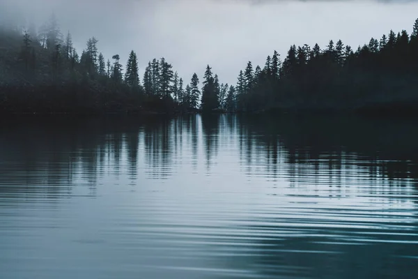 Silhouettes Pointy Tree Tops Hillside Mountain Lake Dense Fog Reflex — Stock Photo, Image