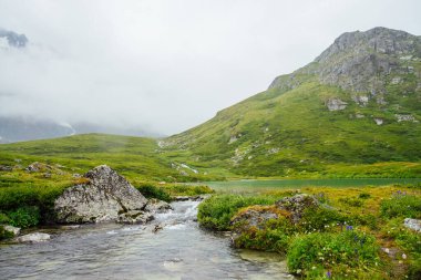 Zengin bitki örtüsü ve alçak bulutlar arasında dağlar arasında dağ deresi olan canlı yeşil alp manzarası. Dağ deresi, vahşi bitki örtüsü ve sisli kayalarla dolu renkli bir manzara. Dağların doğal manzarası..