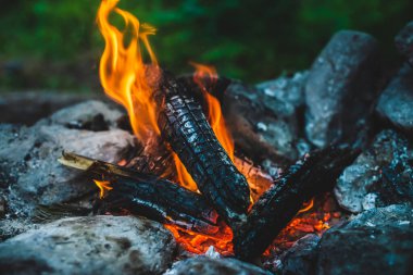 Yanan odun odunları yakın plan ateşte yanmış. Atmosferik sıcak arka plan ve turuncu kamp ateşi. Şenlik ateşinin hayal edilemez tam kare görüntüsü. Güzel ateşte odun yakmak. Harika alev.