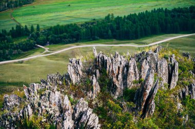 Tepedeki çimenlerin arasındaki güzel keskin taşlar. Toprak yol, dağ nehri ve ormanın arka planında leylek olan çivili taşlar. Dağlık dağın arkasındaki vadide dağ deresi olan koruluk..