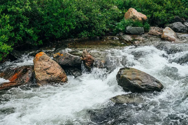 Красивый Пейзаж Большими Камнями Водяной Винтовке Горной Реки Мощный Водный — стоковое фото