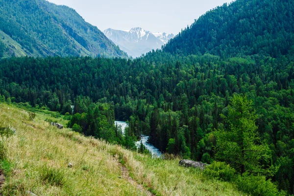 Prachtig Uitzicht Bergen Naar Grote Gletsjer Achter Rivierdal Met Weelderig — Stockfoto