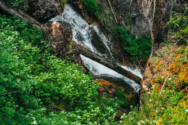 Vista Panorâmica Penhasco Verde Bela Cachoeira Floresta Entre Vegetação Rica — Fotografia de Stock