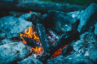Yanan odun odunları yakın plan ateşte yanmış. Atmosferik sıcak arka plan ve turuncu kamp ateşi. Şenlik ateşinin hayal edilemez tam kare görüntüsü. Güzel ateşte odun yakmak. Harika alev.