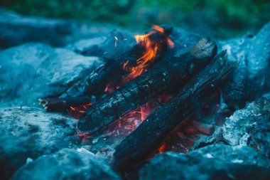Yanan odun odunları yakın plan ateşte yanmış. Atmosferik sıcak arka plan, turuncu kamp ateşi ve mavi duman. Şenlik ateşinin tam kare görüntüsü. Közlerin güzel kasırgası ve küller havada