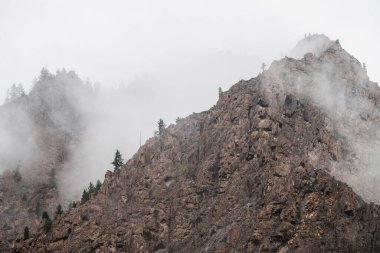 Alçak bulutların arasından güzel kayalıklara hayaletli dağların manzarası. Tepesinde ağaçlar olan dev kayalık dağların arasında yoğun sis var. Atmosferik dağlık arazi. Bulutlu gökyüzünde büyük bir uçurum. Minimalist puslu manzara.