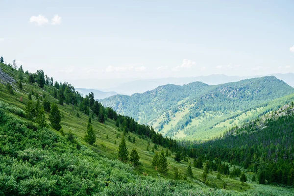 Schöne Luftaufnahme Grünen Waldhängen Und Großen Bergen Tolle Minimalistische Alpine — Stockfoto