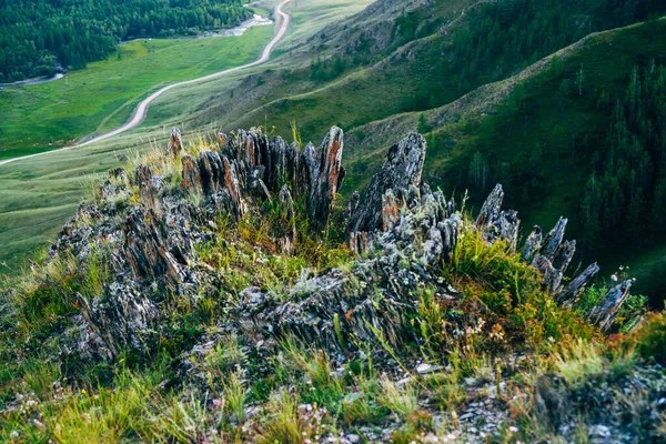 언덕을 클로즈업하는 사이에 아름다운 날카로운 입니다 배경에 지의류가 스파이크 바위투성이 — 스톡 사진