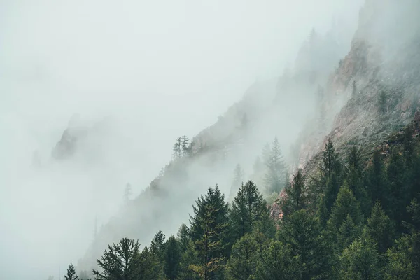 多雾的多雾的风景 在低云的针叶树后面是一座岩石山 在岩石间浓雾中的大气幽灵般的森林 高山上神秘的风景 老字号 老字号 — 图库照片