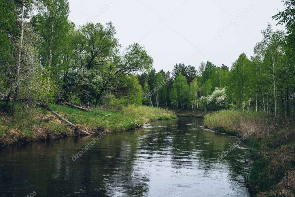 Green river flows in forest among contrasts of trees and plants. Atmospheric landscape with forest river in gloomy weather. Scenic view to green water of woods river. Beautiful nature in vintage tones