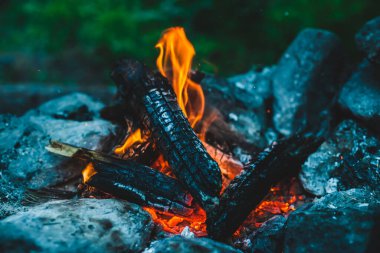 Yanan odun odunları yakın plan ateşte yanmış. Atmosferik sıcak arka plan ve turuncu kamp ateşi. Şenlik ateşinin hayal edilemez tam kare görüntüsü. Güzel ateşte odun yakmak. Harika alev.