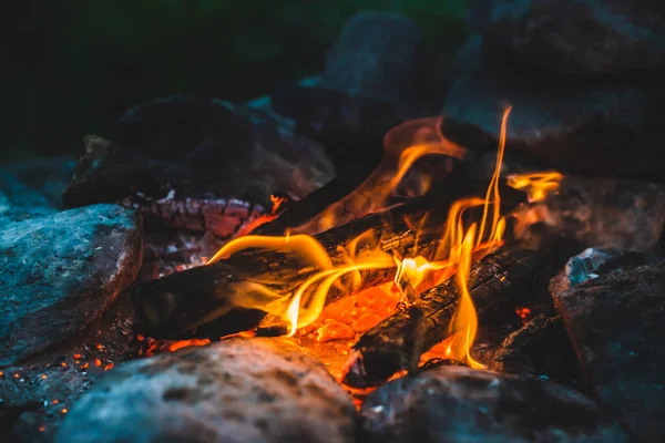 Яркий Тлеющий Лес Сгорел Огне Крупным Планом Атмосферный Теплый Фон — стоковое фото